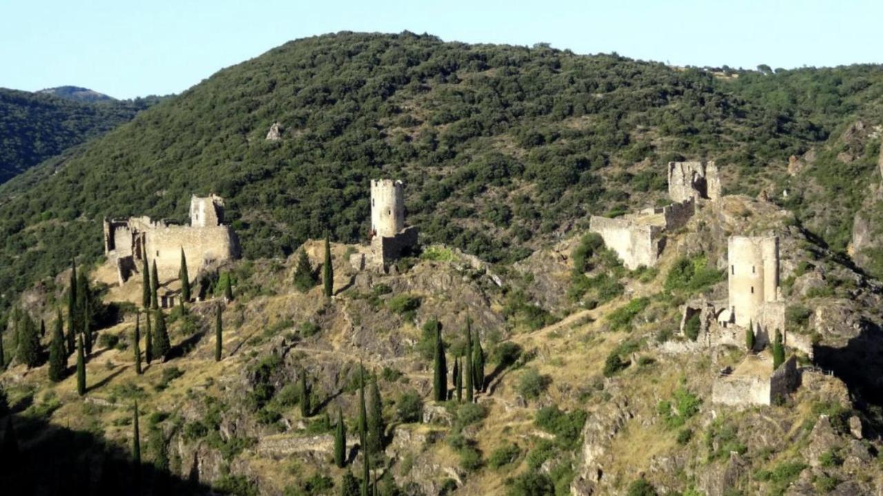 La Maison De Leontine La Liviniere Kültér fotó